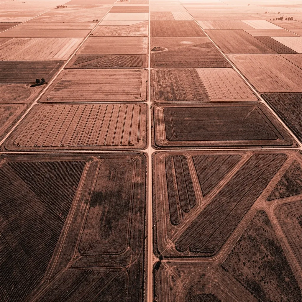 Vista aérea de campos agrícolas argentinos captada por dron